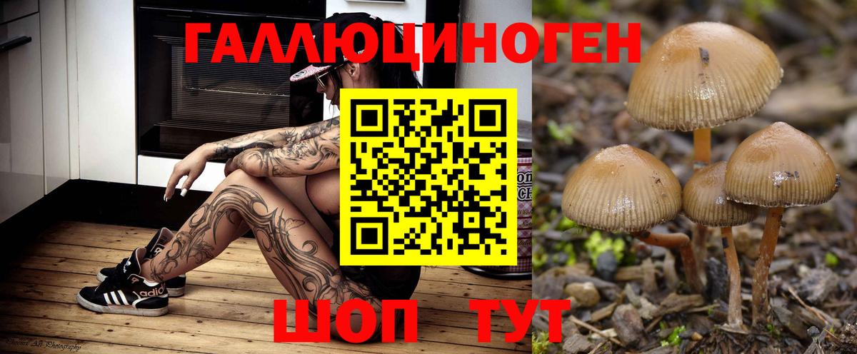 Псилоцибиновые грибы ЛСД Спасск-Дальний