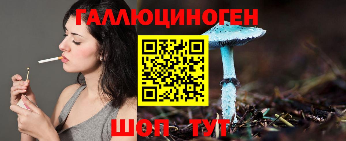 Псилоцибиновые грибы GOLDEN TEACHER  Псилоцибиновые грибы мухоморы  Вход с VPN  Спасск-Дальний 
